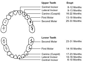 COMPLETE_DENTURES